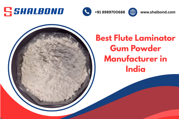 Best Flute Laminator Gum Powder Manufacturer in India