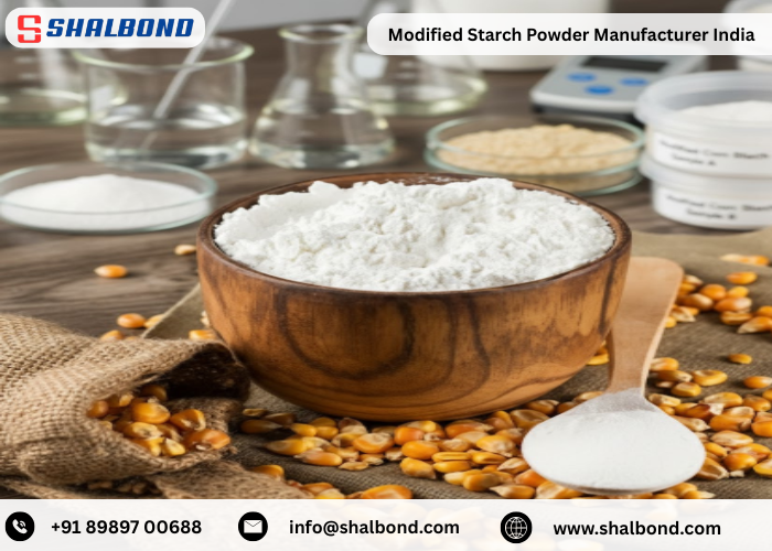 Modified Starch Powder Manufacturer India