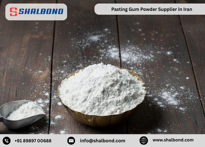 Pasting Gum Powder Supplier in Iran