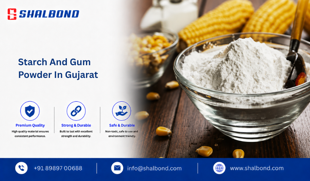 Starch And Gum Powder in Gujarat