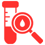 Testing & Optimization