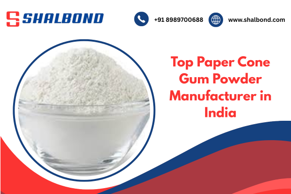 Top Paper Cone Gum Powder Manufacturer in India